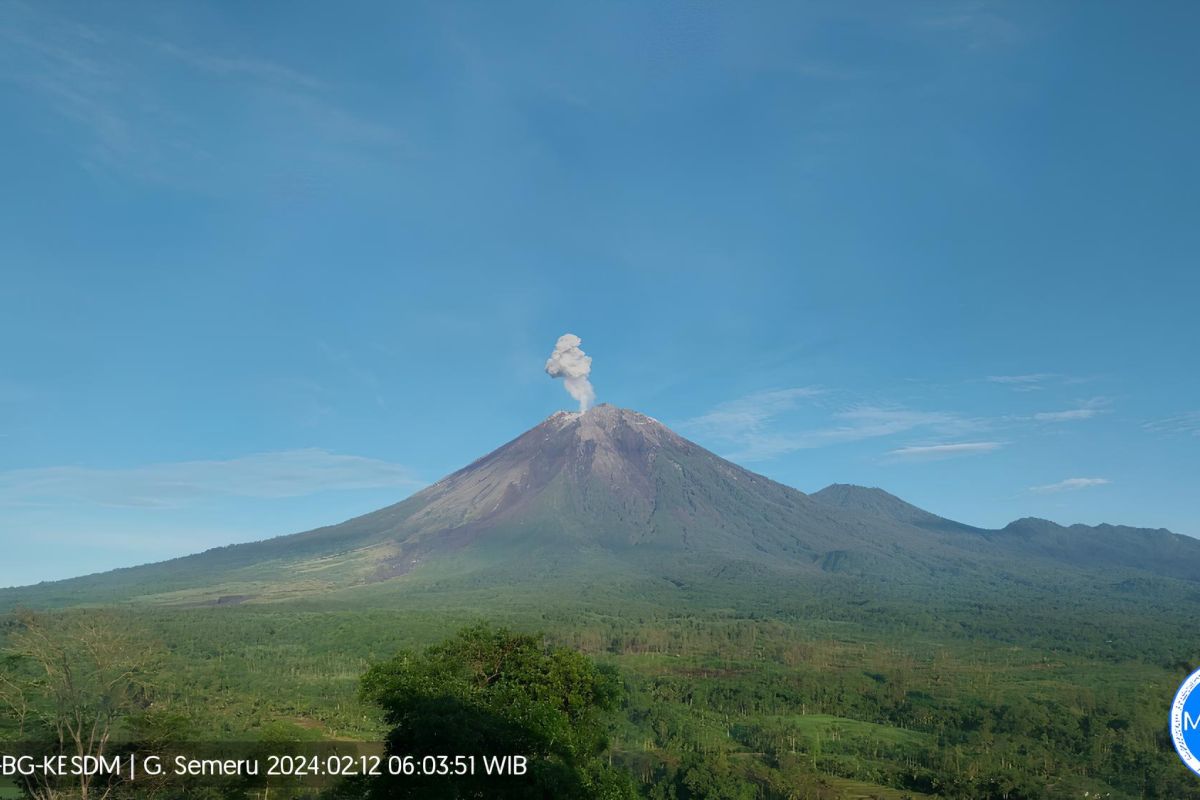 Gunung Semeru Kembali Erupsi, Letusan Capai 700 Meter dan Warga Diminta Waspada