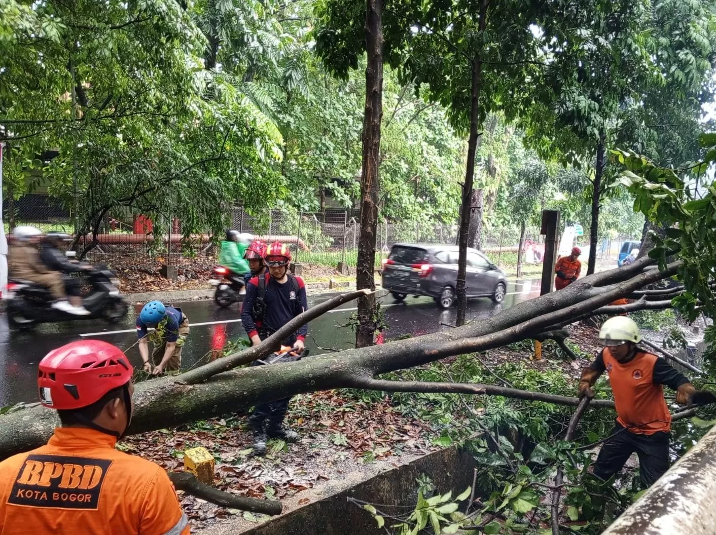 BMKG: Cuaca Ekstrem di Bali Mulai Mereda, Waspadai Dampak Lanjutan